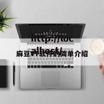 麻豆VT软件的简单介绍